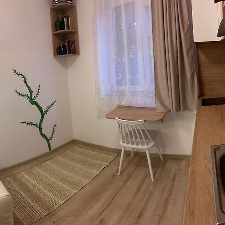 Mimosa Studio クルージュ＝ナポカ エクステリア 写真